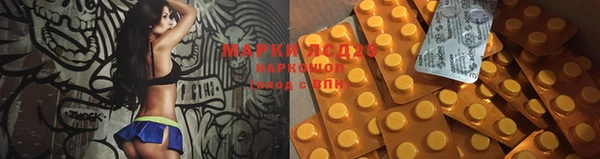 apvp Вязники