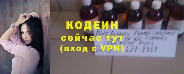 сатива Верея