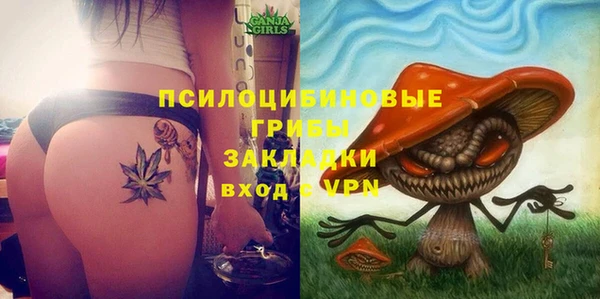 apvp Вязники