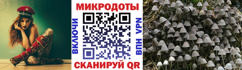 Купить закладки  Щучье  Галлюциногенные грибы MAGIC MUSHROOMS 